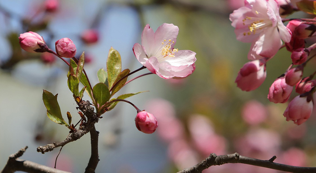 Recevoir un soin Reiki ou aux bols chantants